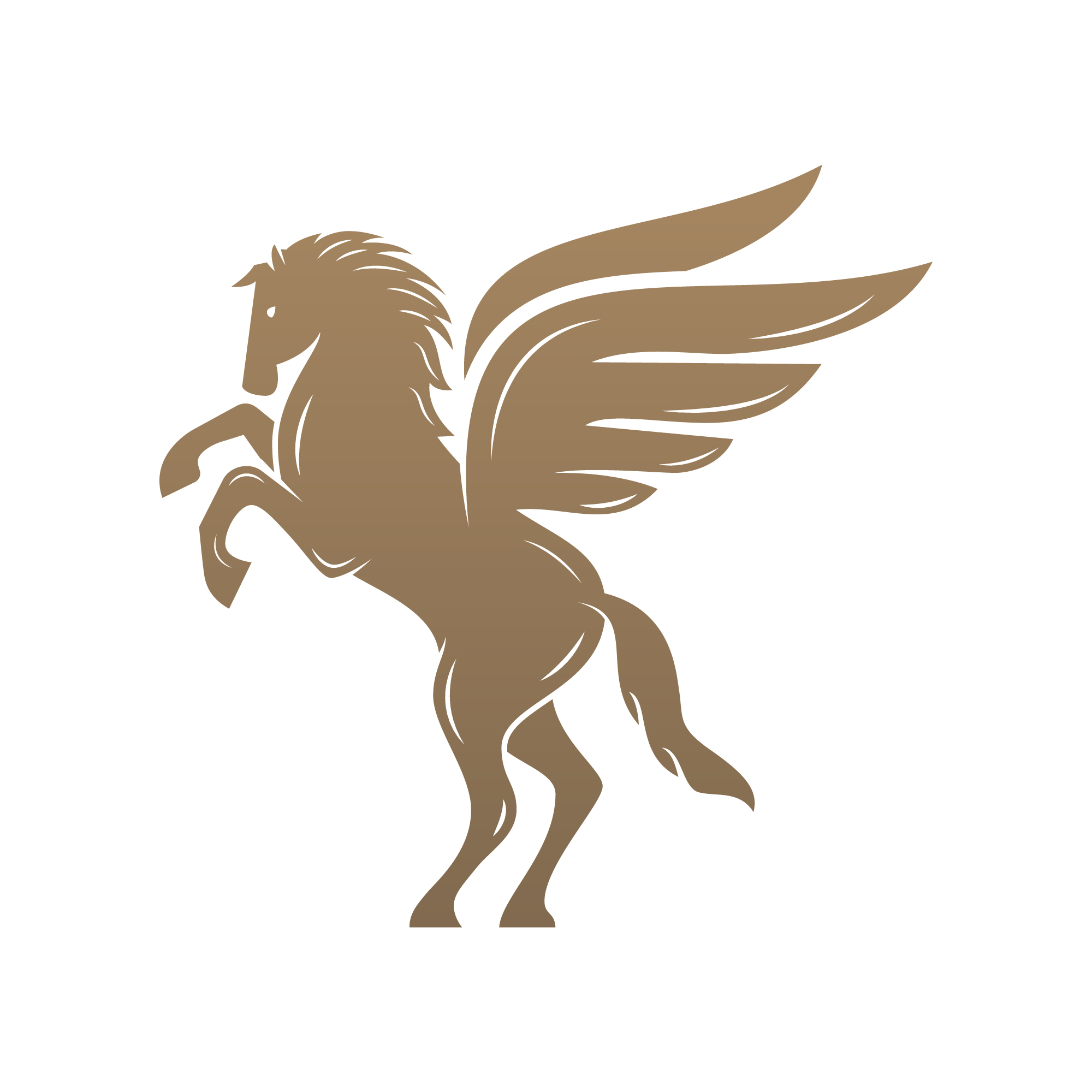 Pegasus Mortgage Lending Center Inc place picture